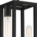 Urban Oasis 2 Light 7 inch Matte Black Pendant Ceiling Light