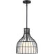 Evensong 1 Light 12.00 inch Pendant