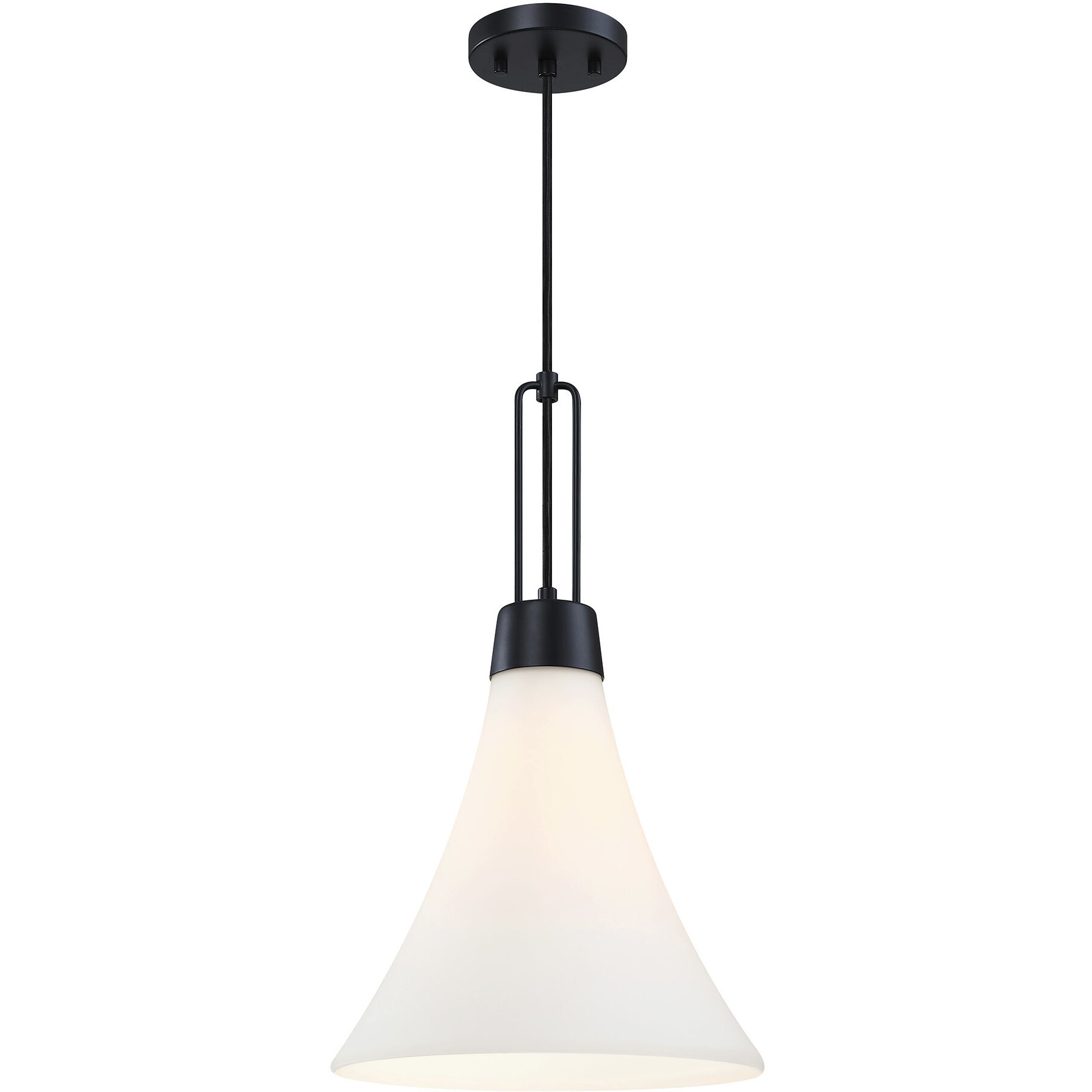 Evergreen Oasis LED 12 inch Matte Black Down Pendant Ceiling Light