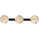 Fina LED 24.75 inch Matte Black Vanity Wall Light