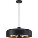 Forbidden Springs LED 20 inch Matte Black Down Pendant Ceiling Light