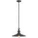 Aurora 1 Light 14 inch Weathered Pewter Pendant Ceiling Light