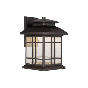 Piedmont LED 10 inch Oil Rubbed Bronze Outdoor Wall Lantern
