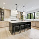 Evergreen Oasis LED 12 inch Matte Black Down Pendant Ceiling Light