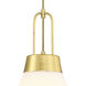 Evergreen Oasis LED 18 inch Brushed Gold Down Pendant Ceiling Light