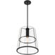Alonzo 1 Light 14 inch Matte Black Pendant Ceiling Light