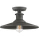 Aurora 1 Light 14 inch Weathered Pewter Semi-Flush Ceiling Light