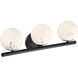 Crown Heights 3 Light 25 inch Matte Black Vanity Light Wall Light in White