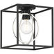 Kew Gardens 1 Light 10 inch Matte Black Semi-Flush Ceiling Light