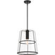 Alonzo 1 Light 14 inch Matte Black Pendant Ceiling Light