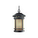 Sedona 3 Light 11 inch Oil Rubbed Bronze Outdoor Hanging Lantern in Amber
