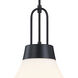Evergreen Oasis LED 18 inch Matte Black Down Pendant Ceiling Light