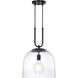 Astra LED 14 inch Matte Black Down Pendant Ceiling Light