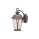 Westchester Outdoor Wall Lantern in Seedy, Rustic Silver