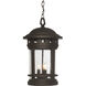 Sedona 3 Light 11 inch Oil Rubbed Bronze Outdoor Hanging Lantern in Seedy