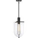 Skylar LED 10 inch Matte Black Down Pendant Ceiling Light