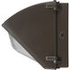 EnviroLite Wall Pack in 6200
