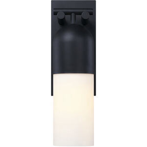 Ever Spring LED 22 inch Black Outdoor Wall Sconce