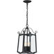 Glenwood 4 Light 9 inch Black Outdoor Hanging Lantern