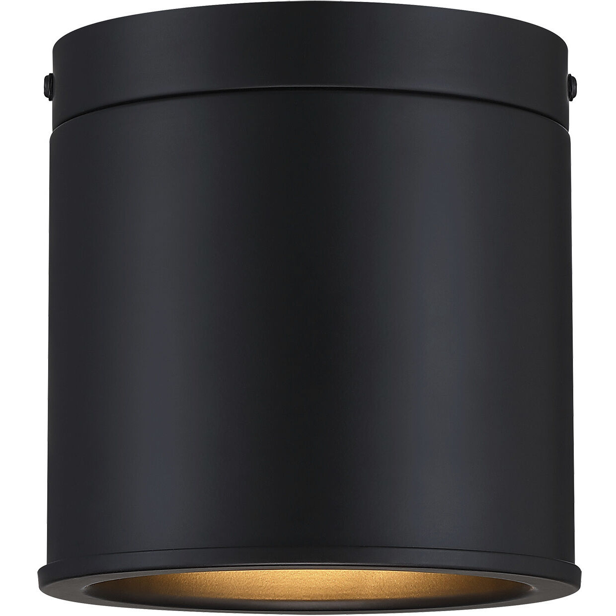 Fleur Oasis LED 6 inch Matte Black Flush Mount Ceiling Light