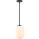 Noor 1 Light 8.5 inch Matte Black Pendant Ceiling Light