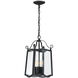 Glenwood 4 Light 9 inch Black Outdoor Hanging Lantern
