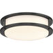 DC Series 1 Light 10.31 inch Matte Black Flush Mount Ceiling Light