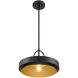 Odea 1 Light 14 inch Matte Black Pendant Ceiling Light