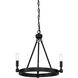Fiora 3 Light 17 inch Black Chandelier Ceiling Light