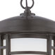 Barrister LED 9 inch Burnished Bronze Outdoor Hanging Lantern