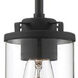 Jedrek 1 Light 4 inch Black Mini Pendant Ceiling Light