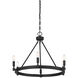 Fiora 6 Light 26 inch Black Chandelier Ceiling Light