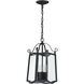 Glenwood 4 Light 9 inch Black Outdoor Hanging Lantern