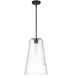 Ingo 1 Light 12 inch Matte Black Pendant Ceiling Light