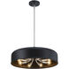 Forbidden Springs LED 20 inch Matte Black Down Pendant Ceiling Light