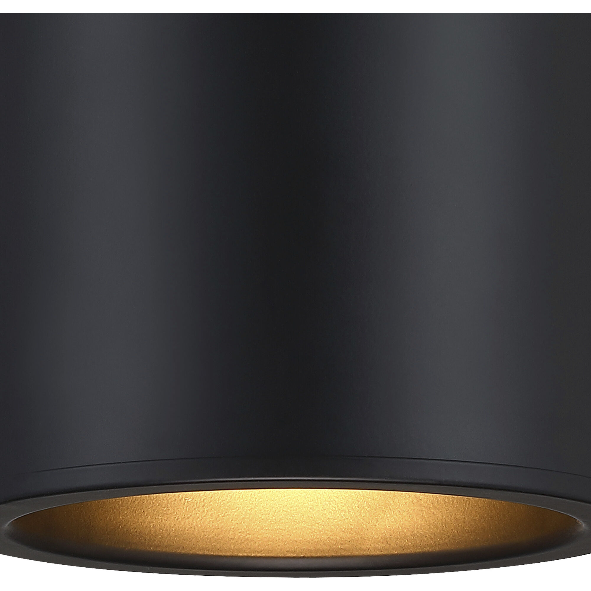 Fleur Oasis LED 6 inch Matte Black Flush Mount Ceiling Light