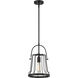 Alba 1 Light 10 inch Matte Black Pendant Ceiling Light