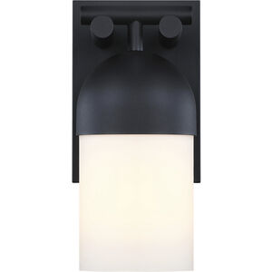 Ever Spring LED 14 inch Black Outdoor Wall Sconce