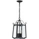 Glenwood 4 Light 9 inch Black Outdoor Hanging Lantern