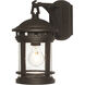 Sedona 1 Light 13 inch Oil Rubbed Bronze Outdoor Wall Lantern in Seedy