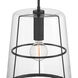 Alonzo 1 Light 14 inch Matte Black Pendant Ceiling Light