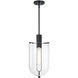 Skylar LED 10 inch Matte Black Down Pendant Ceiling Light