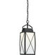 Fairlington 1 Light 7.5 inch Black Outdoor Hanging Lantern