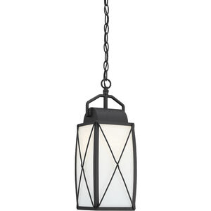 Fairlington 1 Light 7.5 inch Black Outdoor Hanging Lantern
