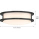DC Series 1 Light 10.31 inch Matte Black Flush Mount Ceiling Light