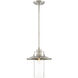 Dover 1 Light 11 inch Satin Platinum Pendant Ceiling Light