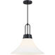 Evergreen Oasis LED 18 inch Matte Black Down Pendant Ceiling Light