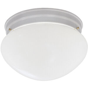 Basic 2 Light 9.25 inch Flush Mount