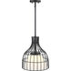 Evensong LED 12 inch Matte Black Pendant Ceiling Light