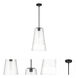 Ingo 1 Light 12 inch Matte Black Pendant Ceiling Light